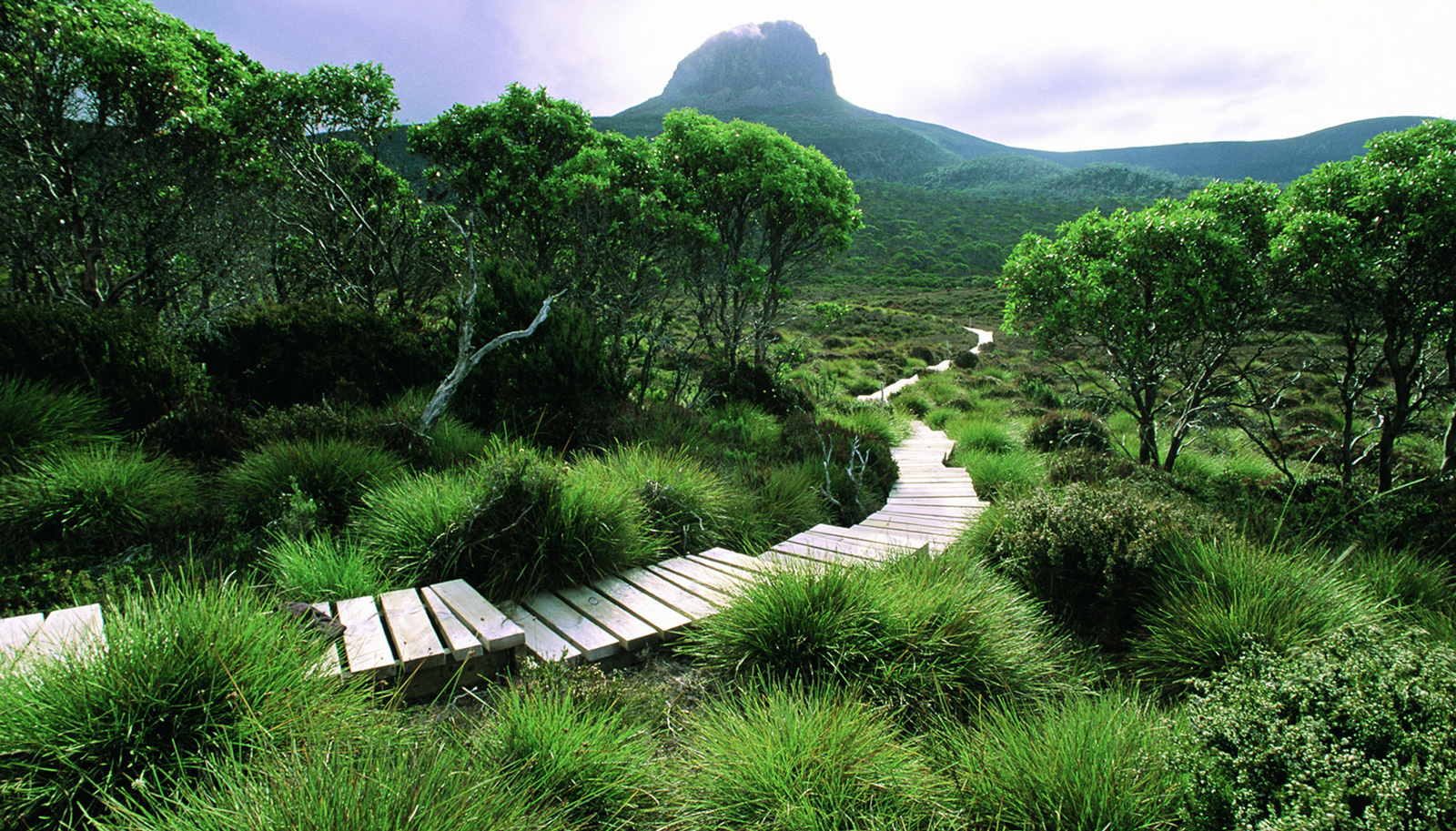 Boardwalk and views to Cradle Mountain - Photo credit: Great Walks of Australia