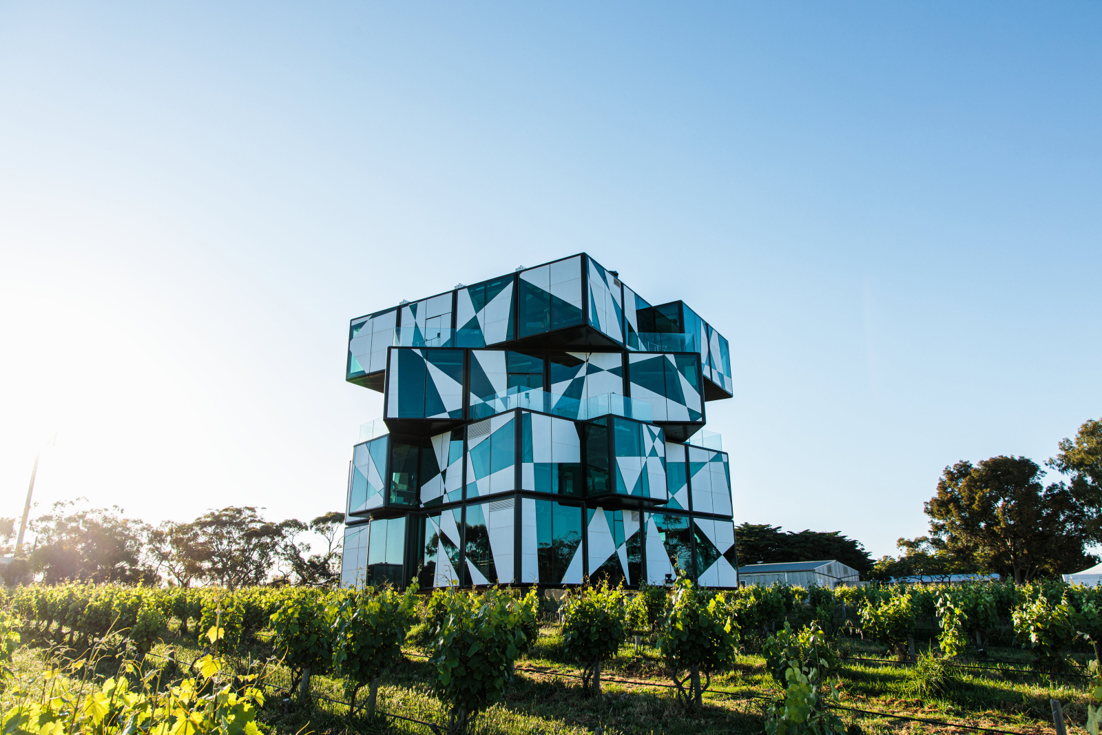 D'Arenberg Cube South Australia wine tasting