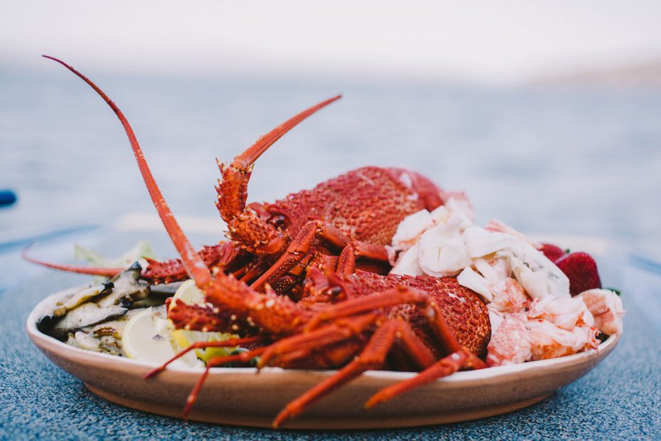 Plate of fresh crayfish on Seafood Seduction Cruise to Bruny Island
