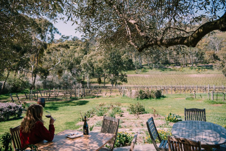 Table under the trees with food and wine in Barossa Valley