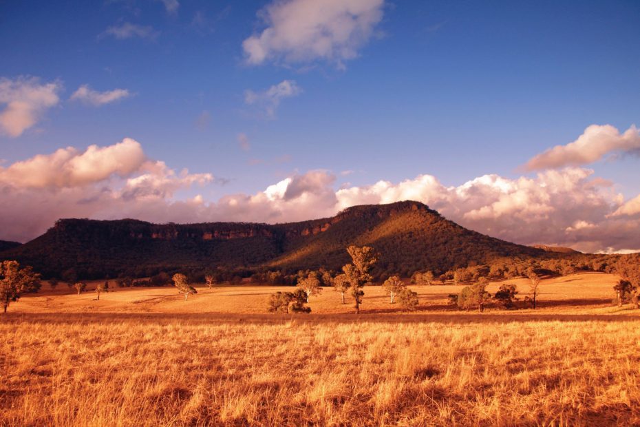 Golden field with Blue Mountains and sky in background