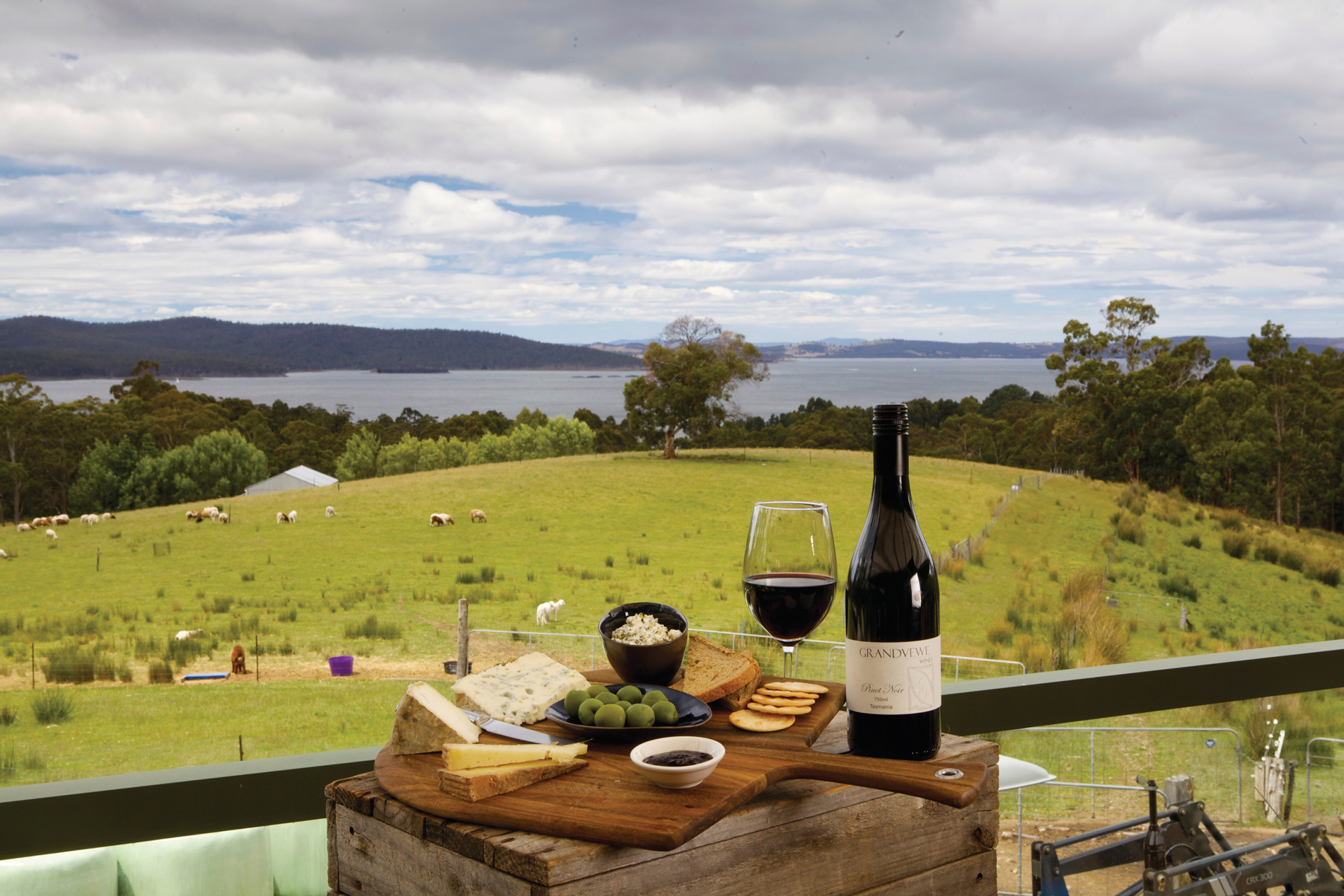 A Tour Of Oyster Bay and Barossa Valley Estate Wines