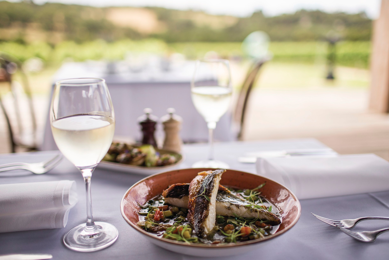 Plate of food with glass of wine at vineyard in Mornington Peninsula