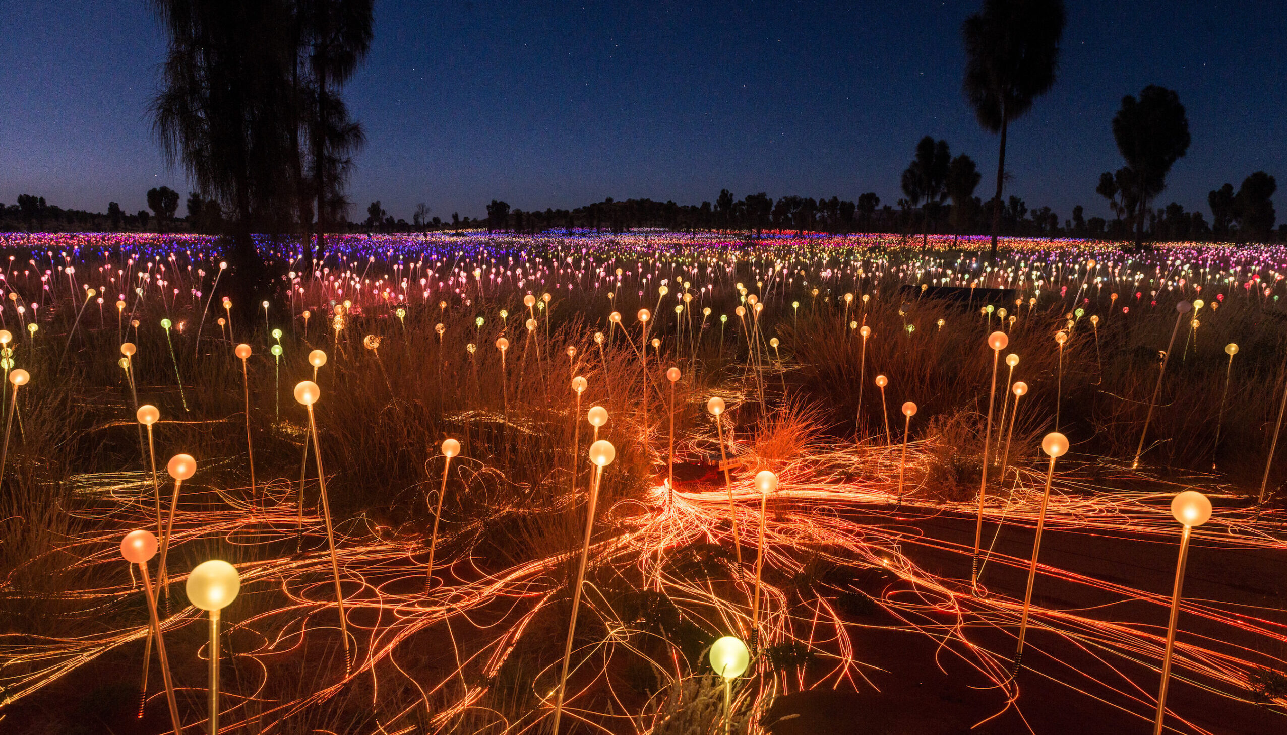 Looking at field of light by Uluru