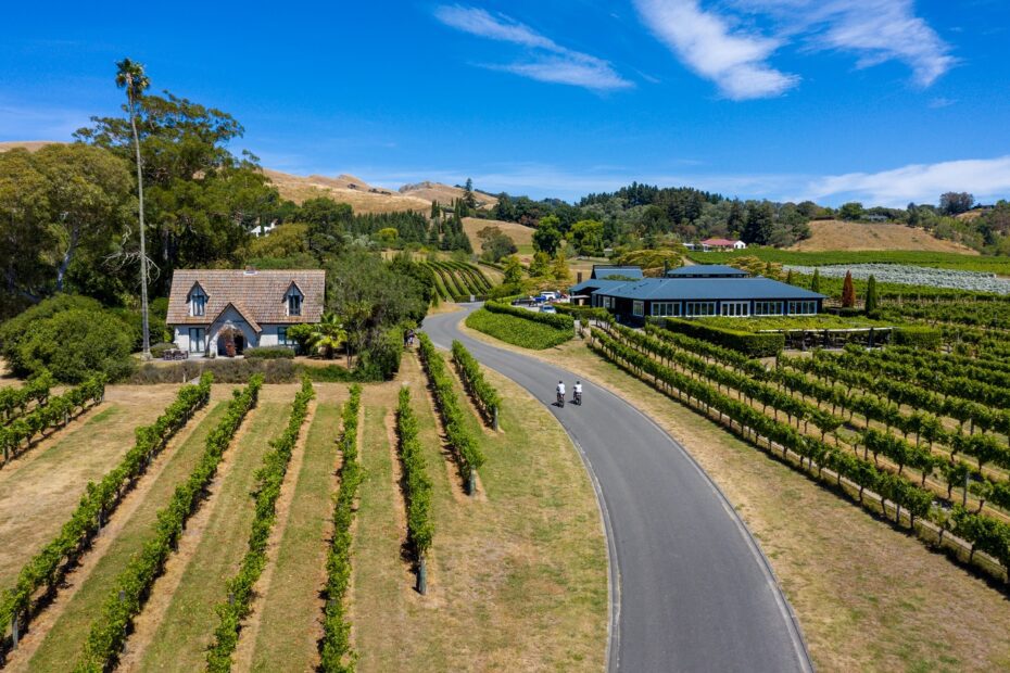 Couple cycling amongst the Hawke's Bay vineyards