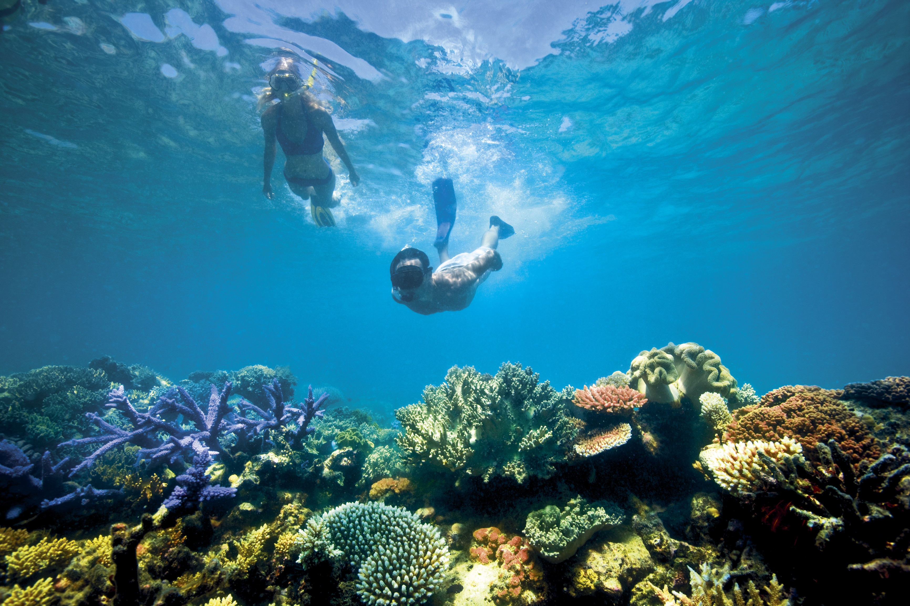 Australia's Great Barrier Reef Five Ways