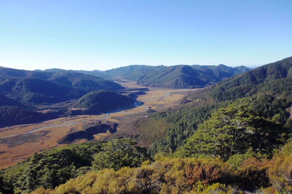 The landscape of Owhaoko