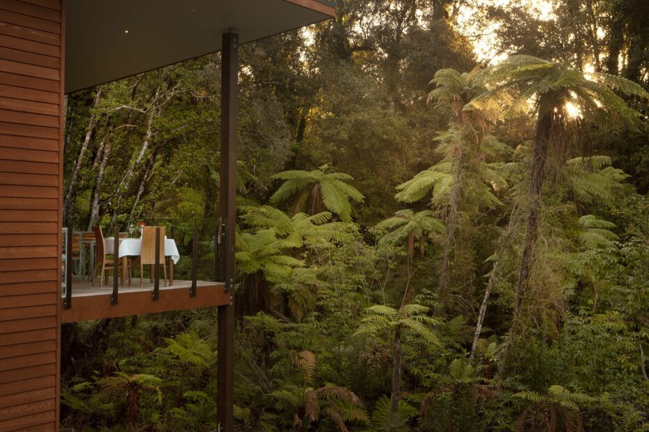 Rainforest enveloping the rooms at Te Waonui Forest Retreat, Franz Josef