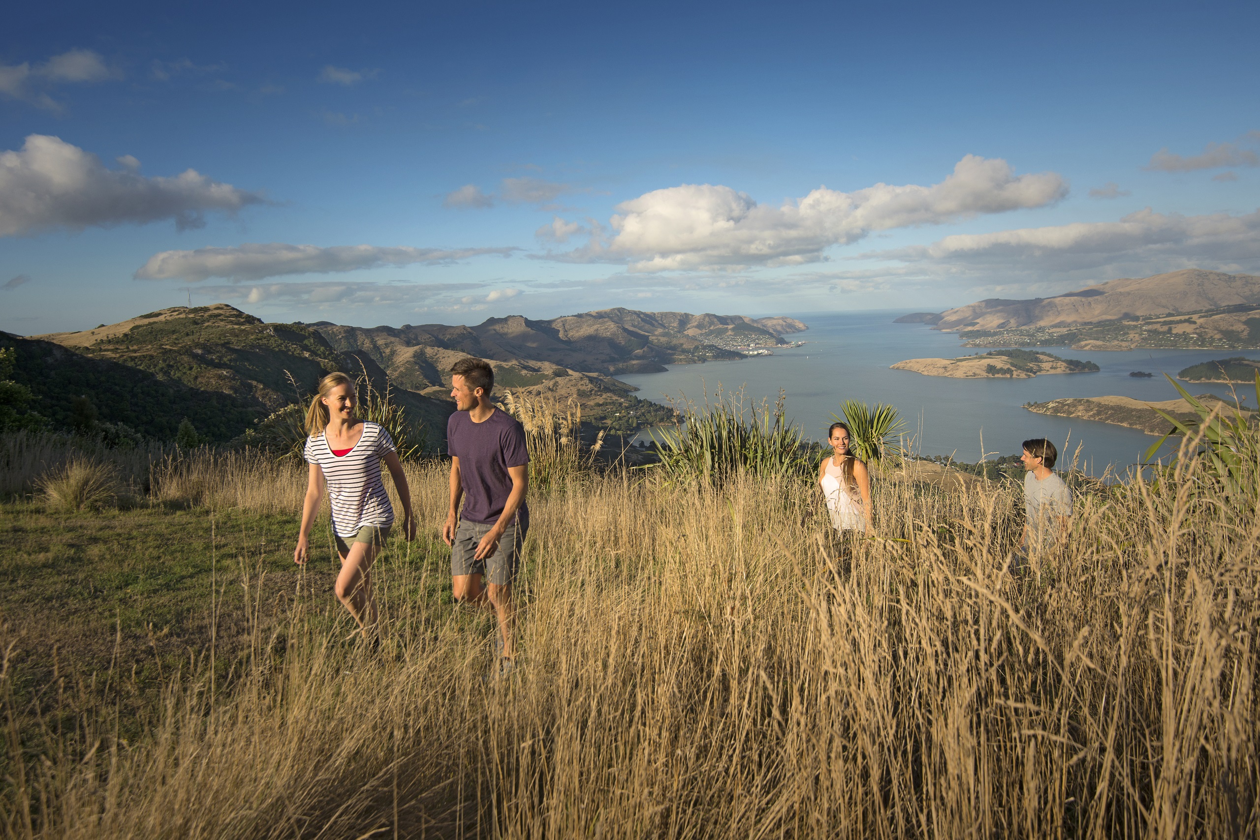 Walkers in the Port Hills above Lyttelton, Christchurch
