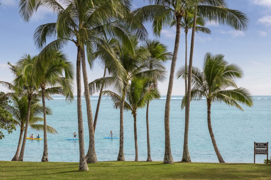 Palm trees and beach on Denarau Island, Fiji