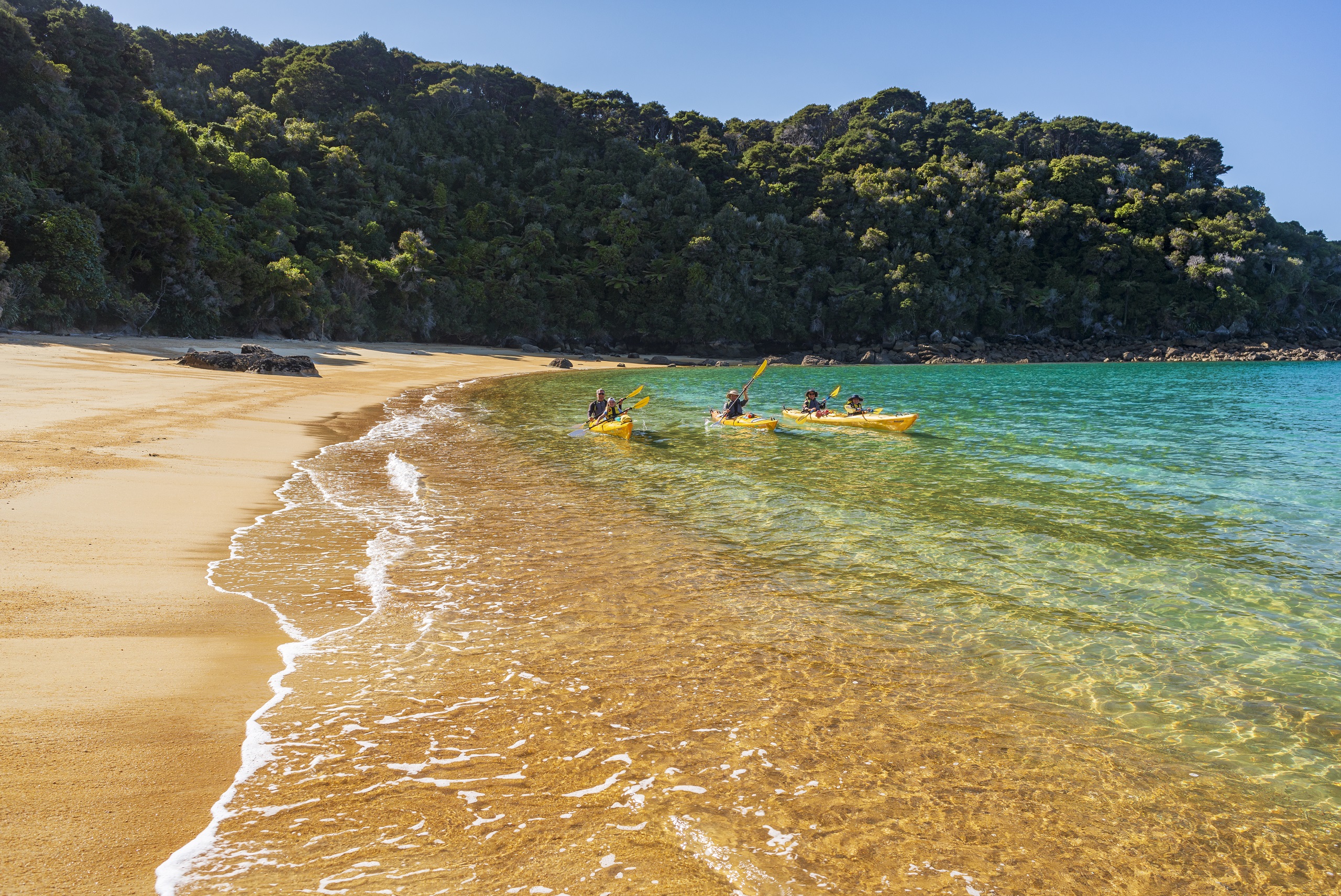 Kayakers at golden beach in the Abel Tasman National Park