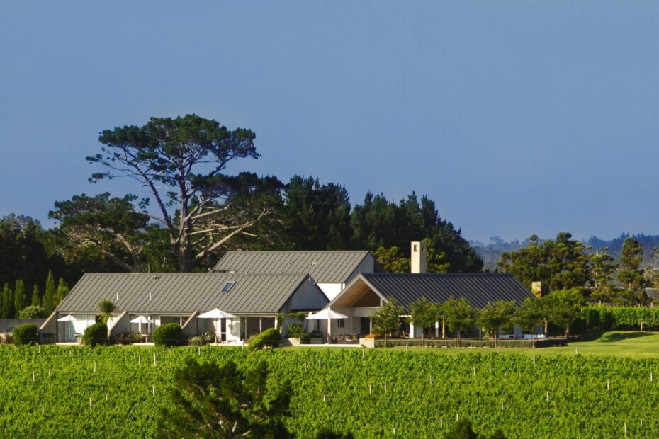 View of Takatu Lodge amongst the Matakana vineyards