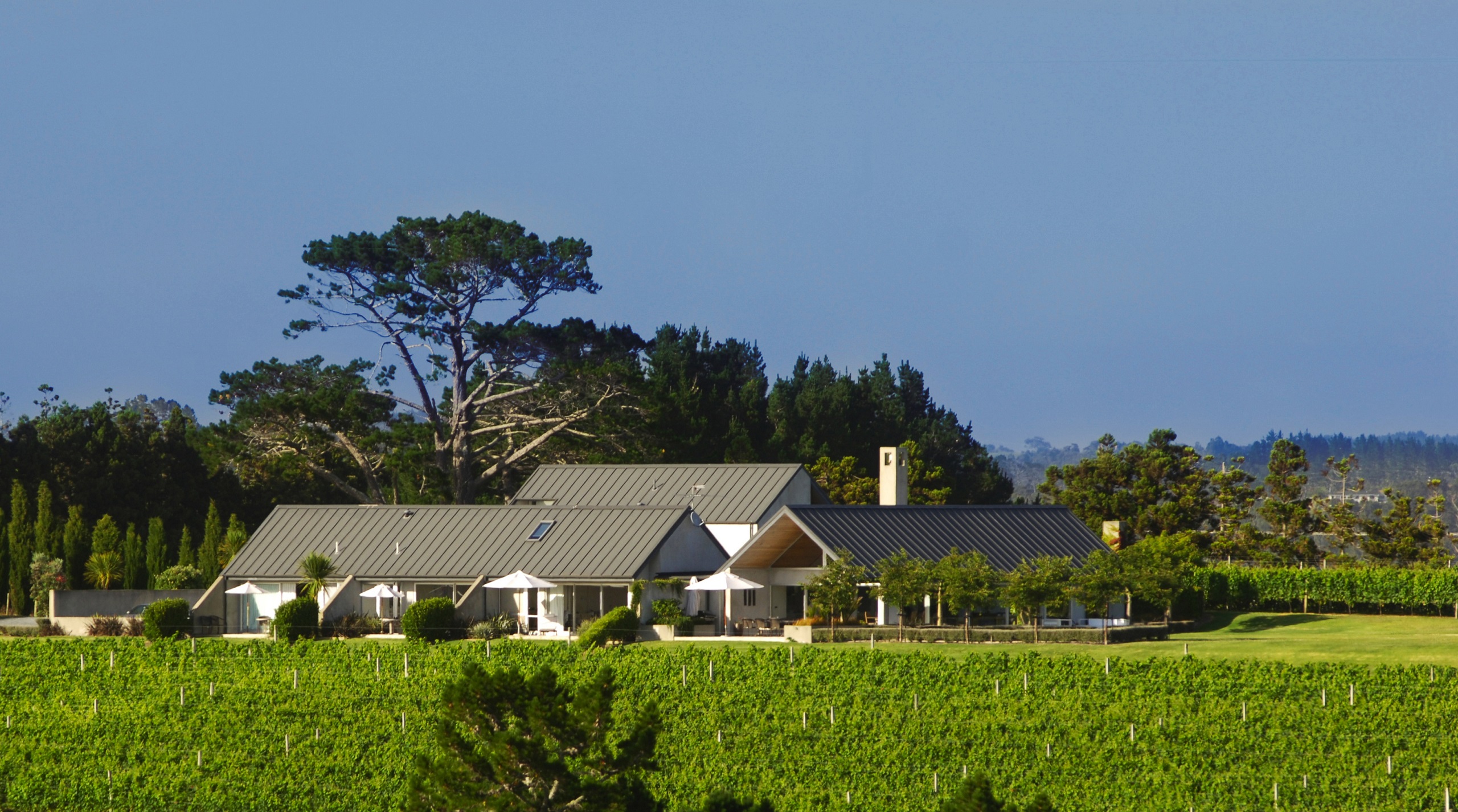 View of Takatu Lodge amongst the Matakana vineyards