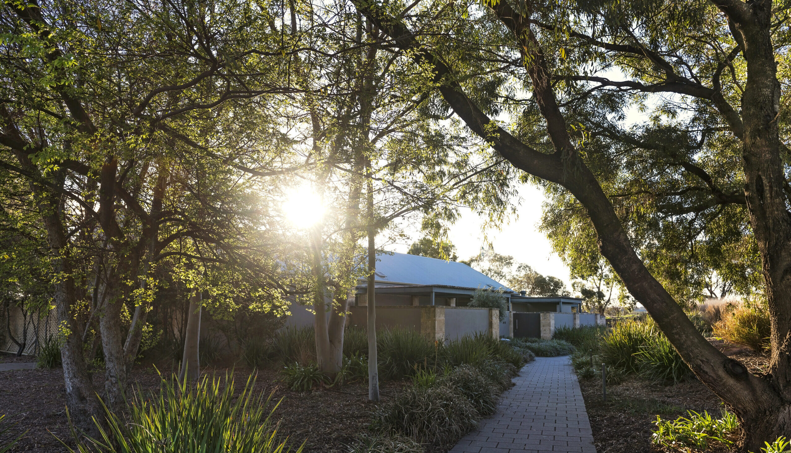 Sunrays through trees over The Louise in Barossa Valley