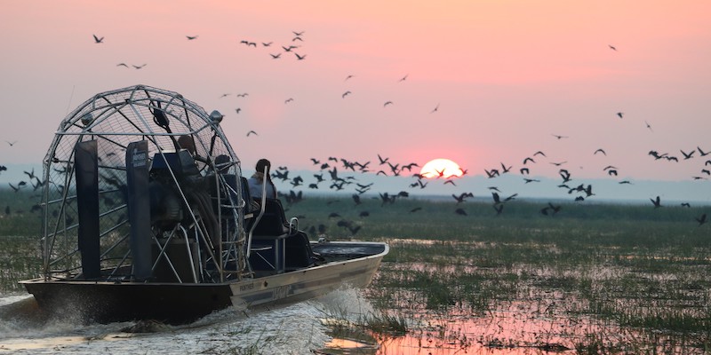 Bamurru Plains airboating at sunset in Australia's Top End