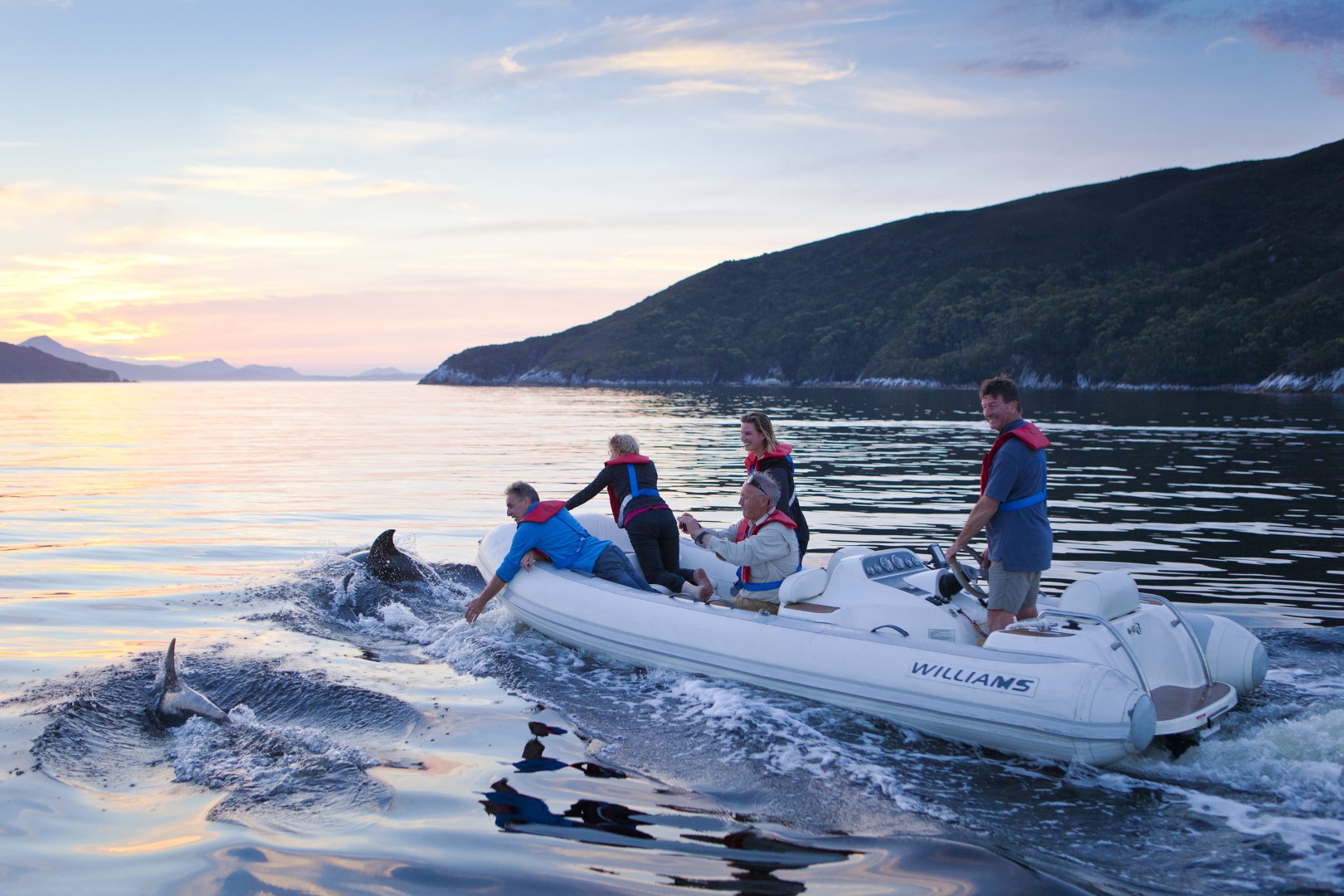 OnBoard Odalisque Tasmania Cruise dolphins