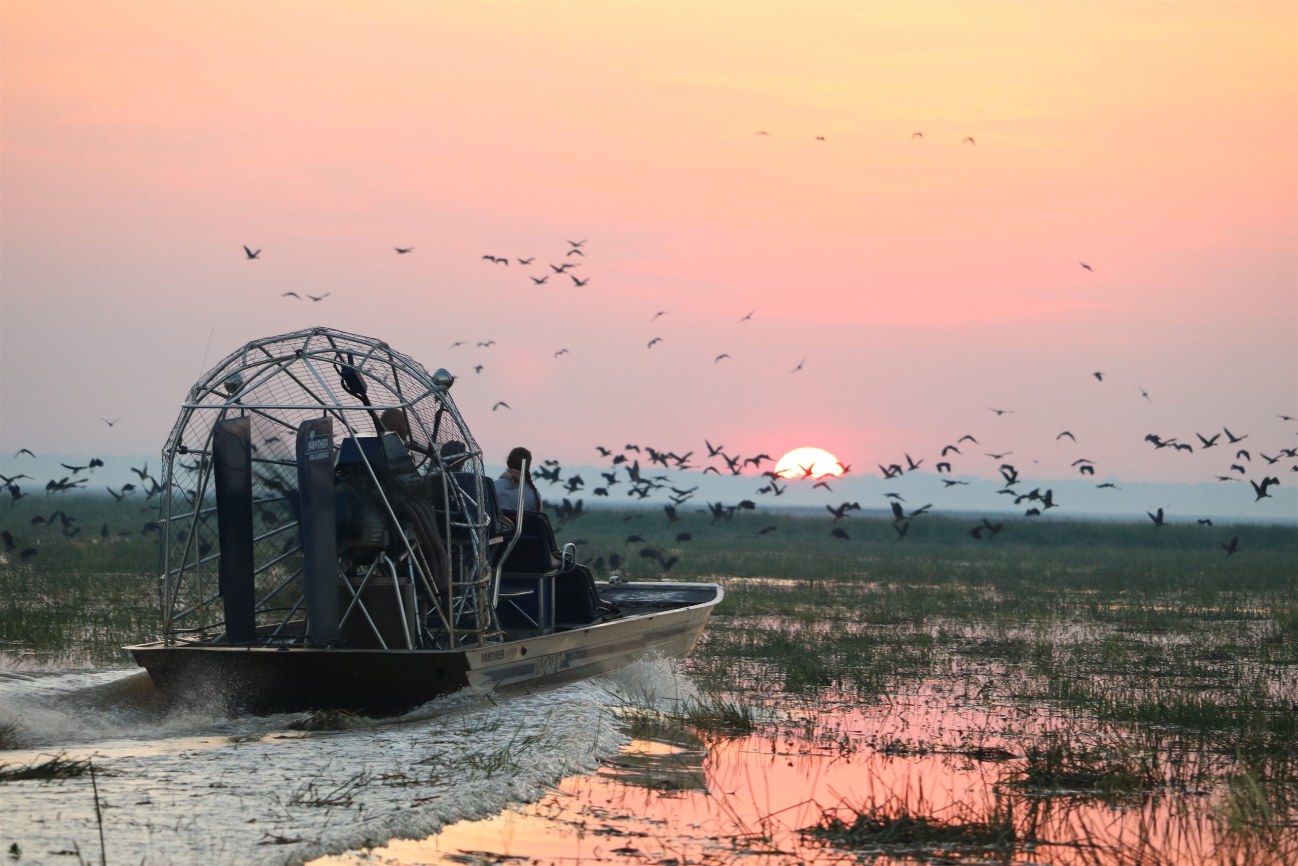 Bamurru Plains Safari style lodge Airboating in Australia's Top End