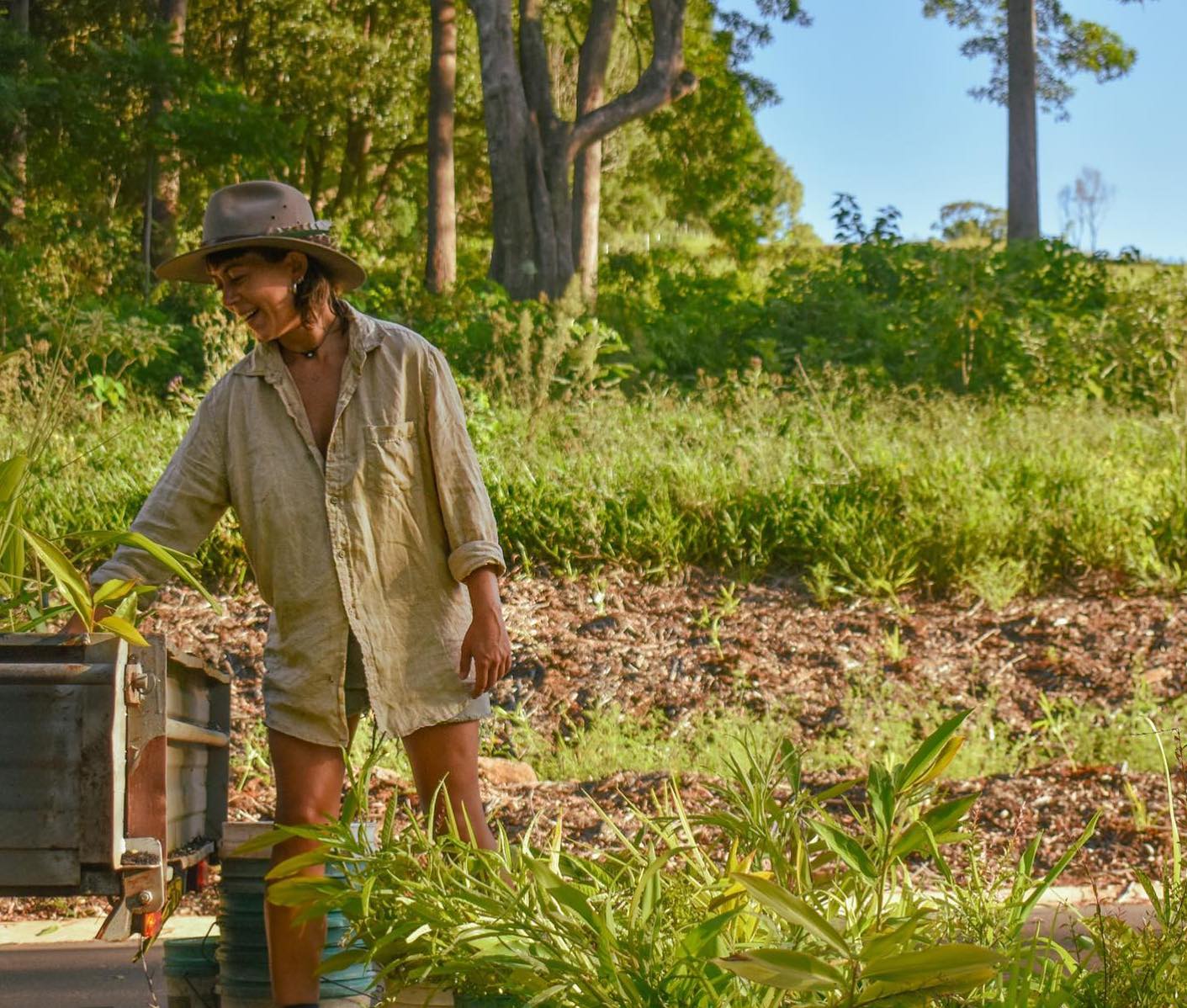 Rainforest regeneration with Reforest Now