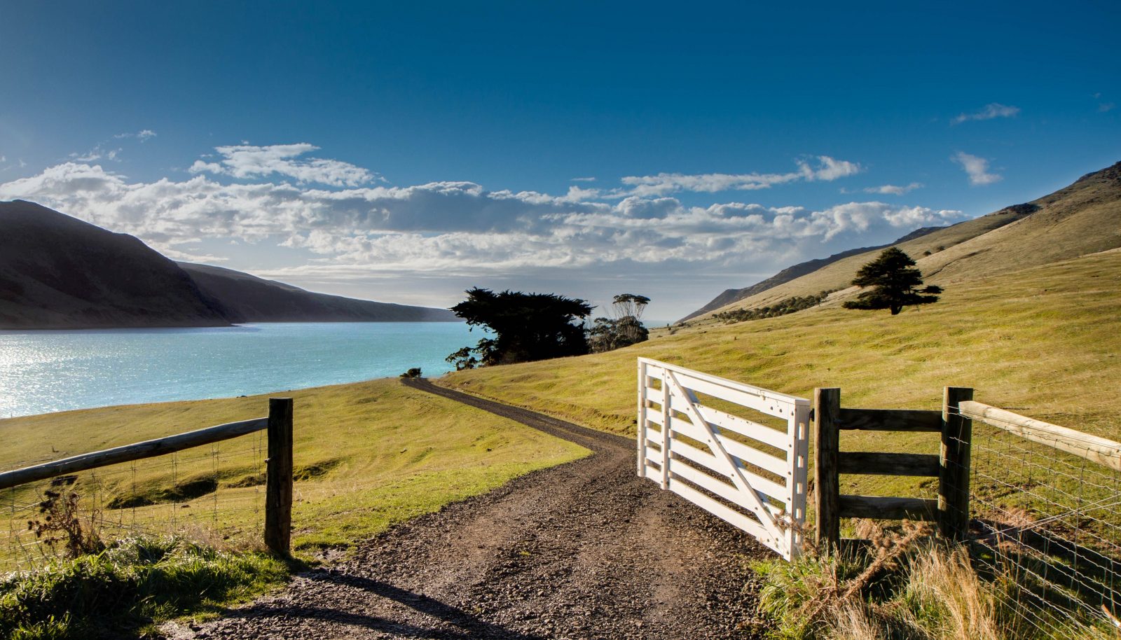 The gate to Annandale farm