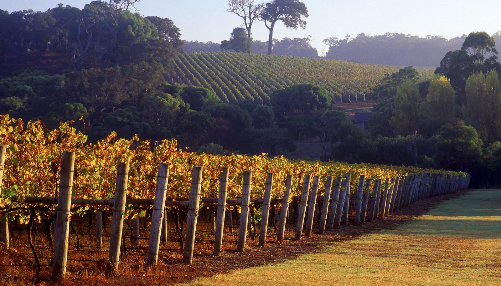 May is Aussie Wine Month .. a collection of tasty travel experiences