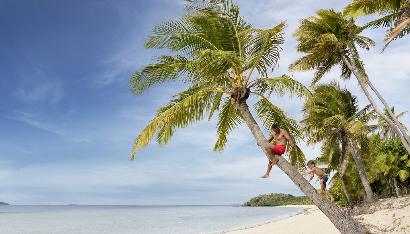 Father and son on a palm tree above a Fijian beach