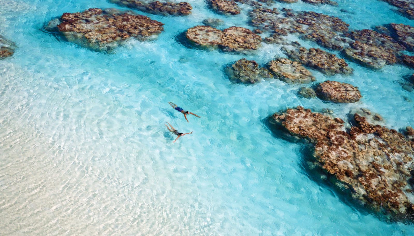 south-pacific-hero-the-brando Couple snorkelling in crystal clear waters of The Brando, French Polynesia